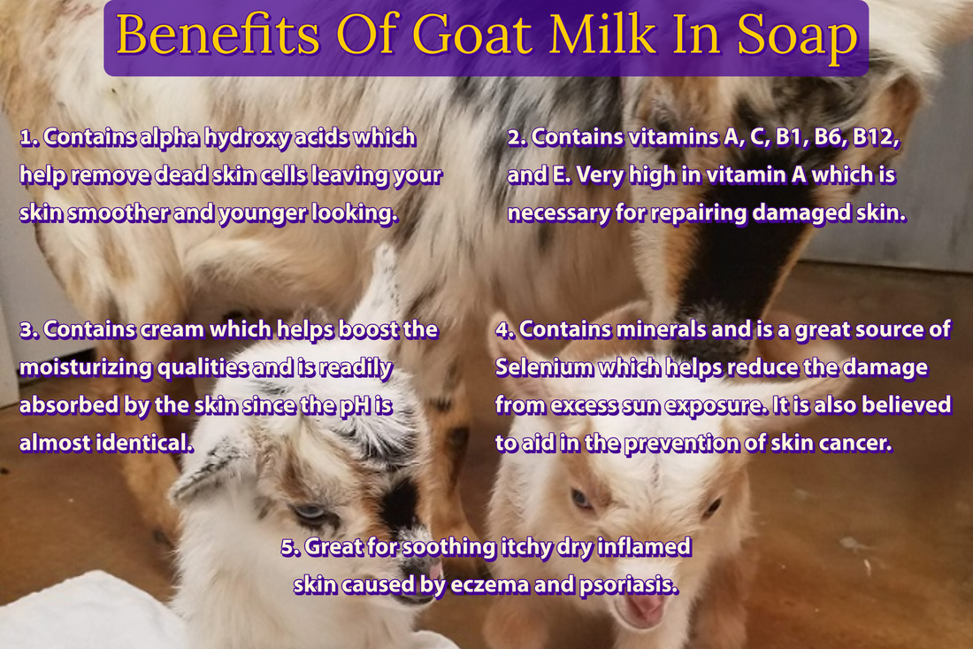 Goat Milk Soap Skin Care